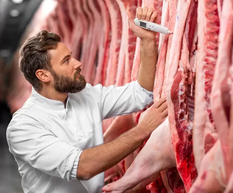 Homem fazendo o controle de qualidade em câmara fria para carnes